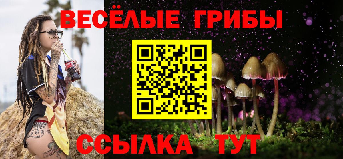 Унеча  Галлюциногенные грибы ЛСД  Вход с VPN 